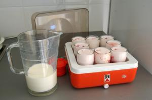 utilisation de la yaourtière