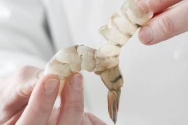 gambas crues