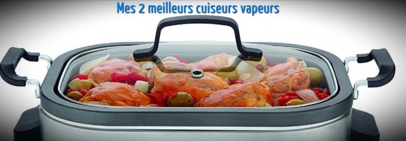Mon comparatif des 2 meilleurs cuiseurs vapeurs